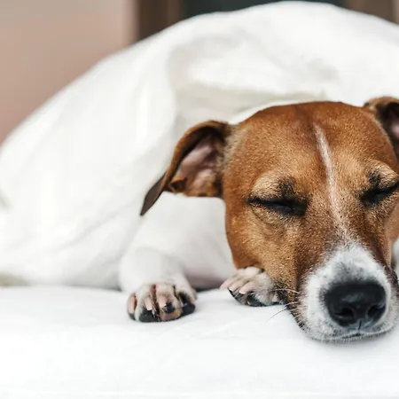 Ξενοδοχείο - The Niu, Welly By Ihg Κίελο