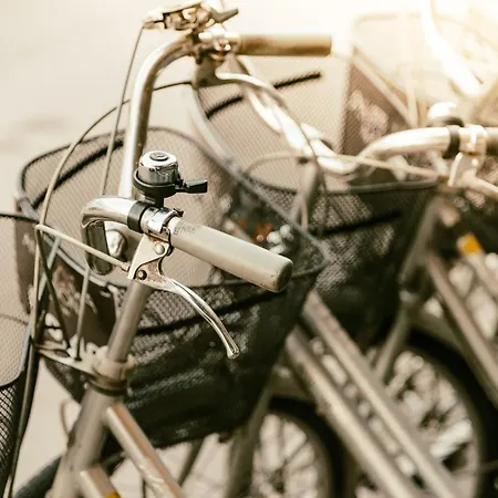 - The Niu, Welly By Ihg Kiel