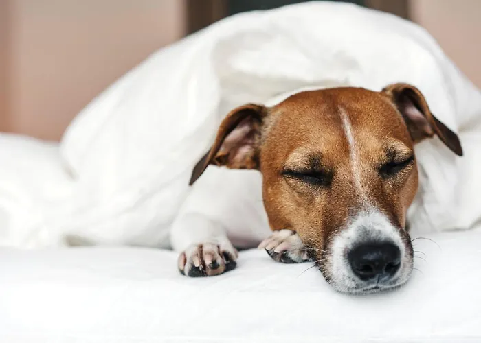 Hotel - The Niu, Welly By Ihg Kiel